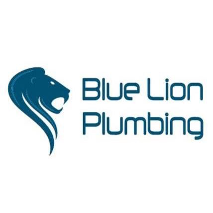 Blue Lion Plumbing LLC